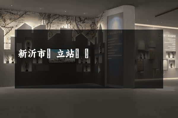 新沂市獨立站運營