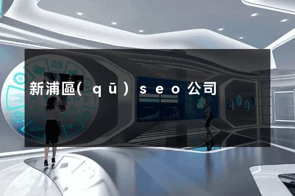新浦區(qū)seo公司