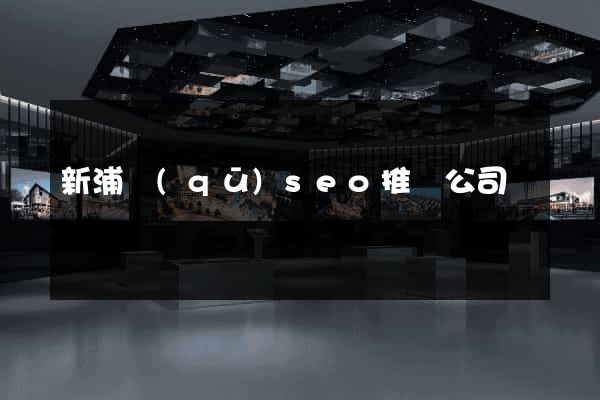 新浦區(qū)seo推廣公司