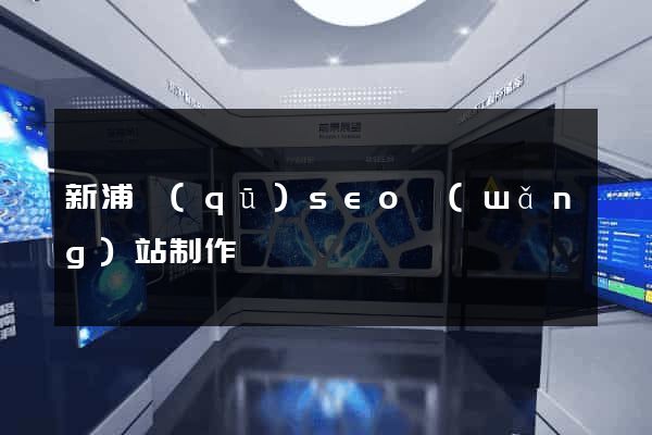 新浦區(qū)seo網(wǎng)站制作