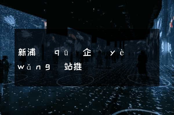 新浦區(qū)企業(yè)網(wǎng)站推廣