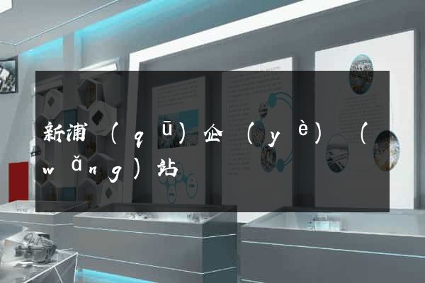 新浦區(qū)企業(yè)網(wǎng)站設計