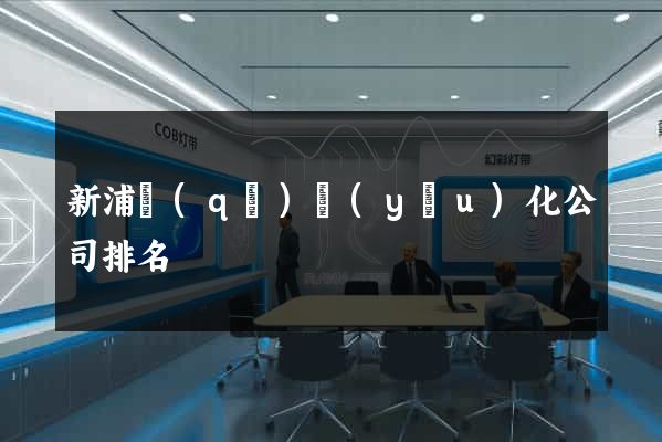 新浦區(qū)優(yōu)化公司排名