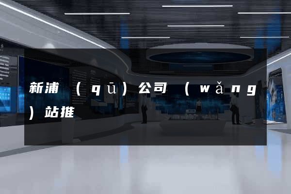 新浦區(qū)公司網(wǎng)站推廣