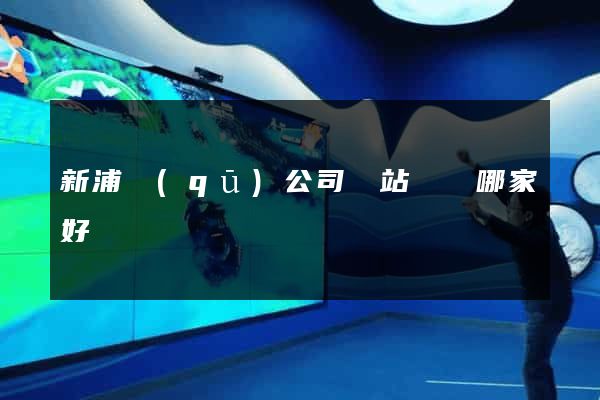 新浦區(qū)公司網站設計哪家好