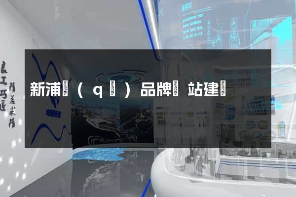 新浦區(qū)品牌網站建設