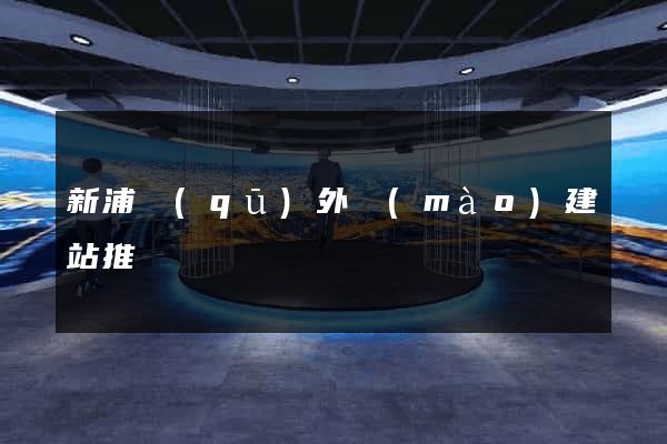 新浦區(qū)外貿(mào)建站推廣