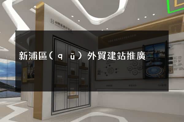 新浦區(qū)外貿建站推廣