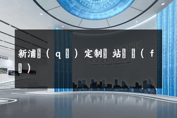 新浦區(qū)定制網站開發(fā)