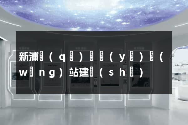 新浦區(qū)專業(yè)網(wǎng)站建設(shè)