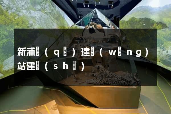 新浦區(qū)建網(wǎng)站建設(shè)