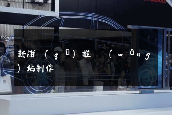 新浦區(qū)推廣網(wǎng)站制作
