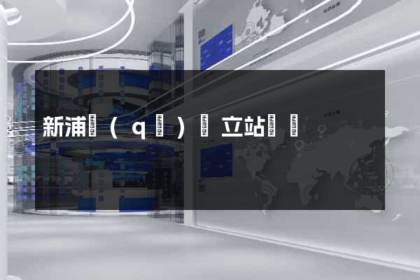 新浦區(qū)獨立站運營