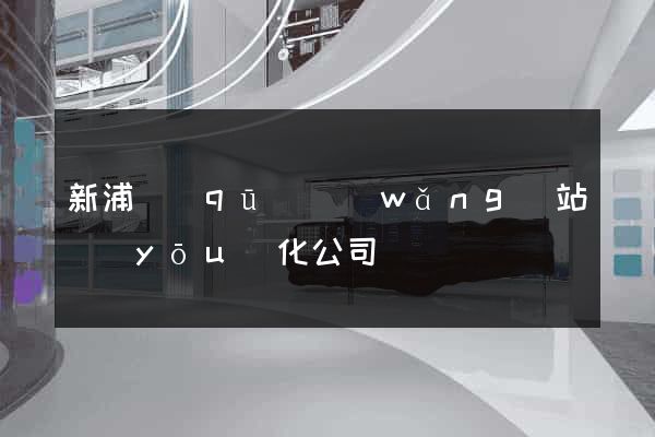 新浦區(qū)網(wǎng)站優(yōu)化公司