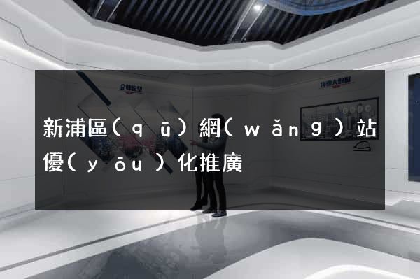 新浦區(qū)網(wǎng)站優(yōu)化推廣