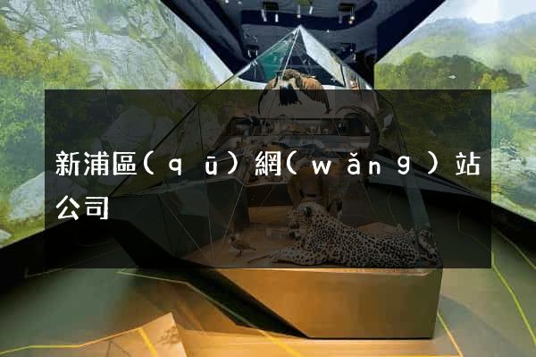 新浦區(qū)網(wǎng)站公司