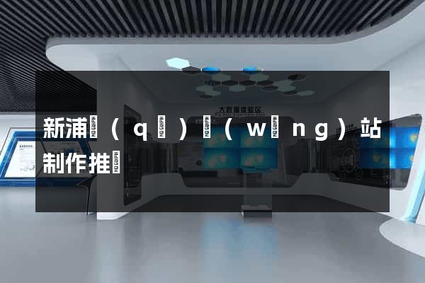 新浦區(qū)網(wǎng)站制作推廣