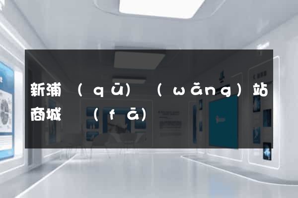 新浦區(qū)網(wǎng)站商城開發(fā)