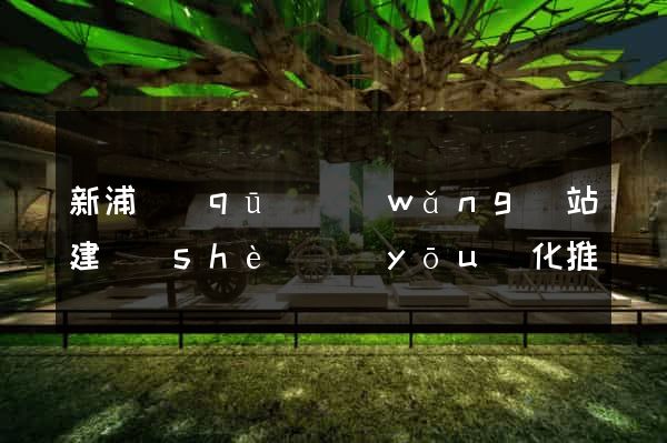 新浦區(qū)網(wǎng)站建設(shè)優(yōu)化推廣