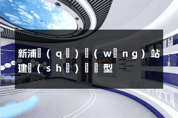 新浦區(qū)網(wǎng)站建設(shè)營銷型