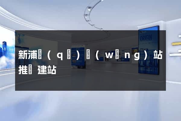 新浦區(qū)網(wǎng)站推廣建站