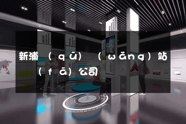 新浦區(qū)網(wǎng)站開發(fā)公司