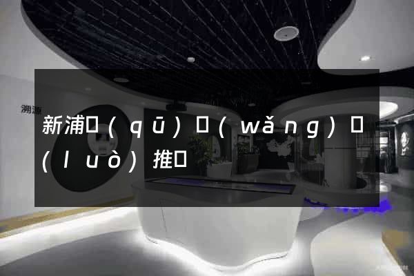 新浦區(qū)網(wǎng)絡(luò)推廣