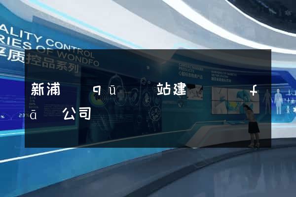 新浦區(qū)網站建設開發(fā)公司