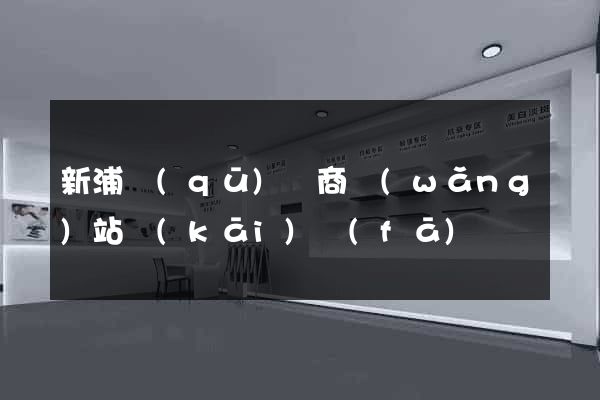 新浦區(qū)電商網(wǎng)站開(kāi)發(fā)