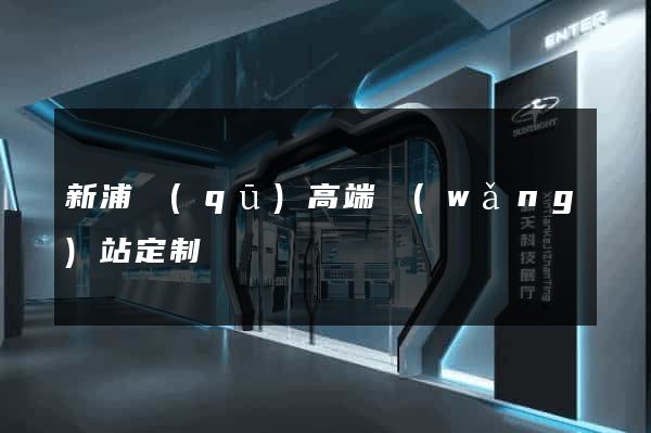 新浦區(qū)高端網(wǎng)站定制