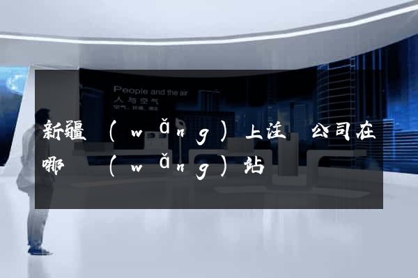 新疆網(wǎng)上注冊公司在哪個網(wǎng)站