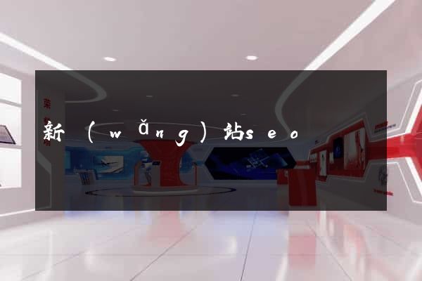 新網(wǎng)站seo