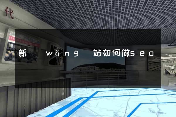 新網(wǎng)站如何做seo