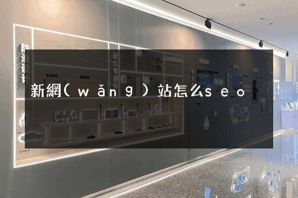 新網(wǎng)站怎么seo