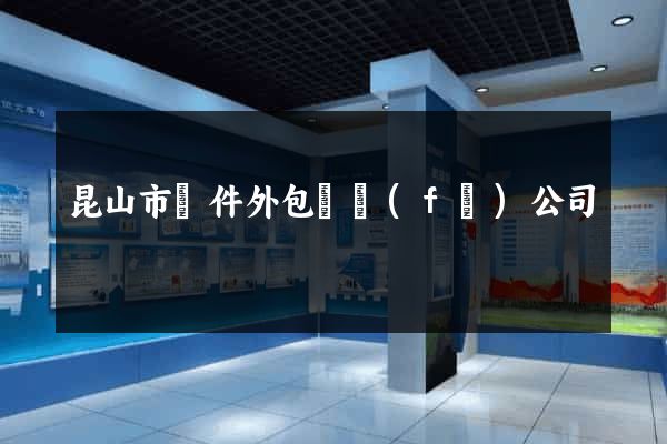 昆山市軟件外包開發(fā)公司
