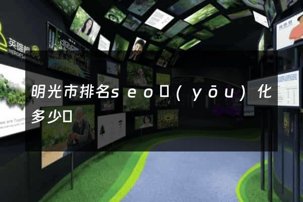 明光市排名seo優(yōu)化多少錢