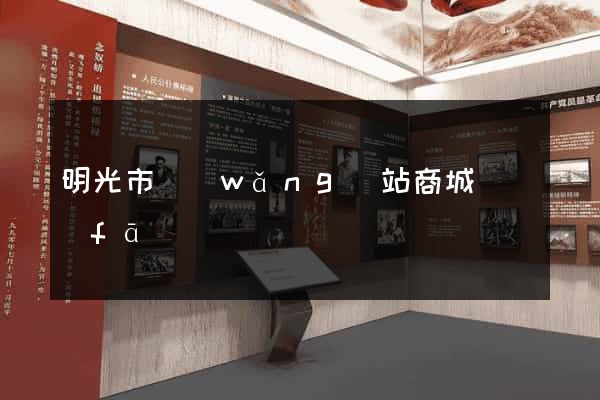 明光市網(wǎng)站商城開發(fā)