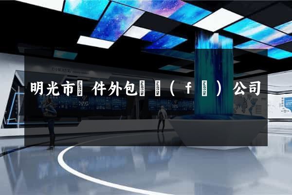 明光市軟件外包開發(fā)公司