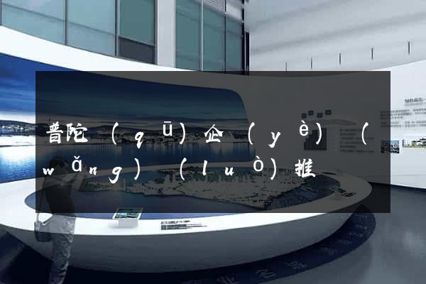 普陀區(qū)企業(yè)網(wǎng)絡(luò)推廣
