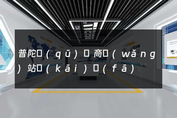 普陀區(qū)電商網(wǎng)站開(kāi)發(fā)