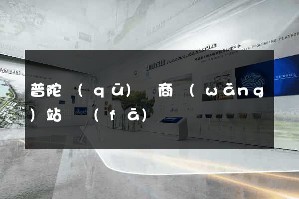 普陀區(qū)電商網(wǎng)站開發(fā)