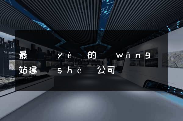 最專業(yè)的網(wǎng)站建設(shè)公司