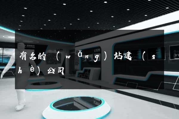 有名的網(wǎng)站建設(shè)公司