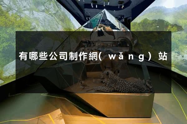 有哪些公司制作網(wǎng)站