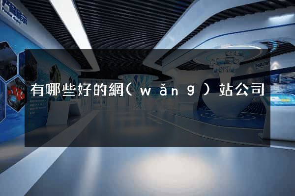 有哪些好的網(wǎng)站公司