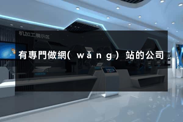 有專門做網(wǎng)站的公司