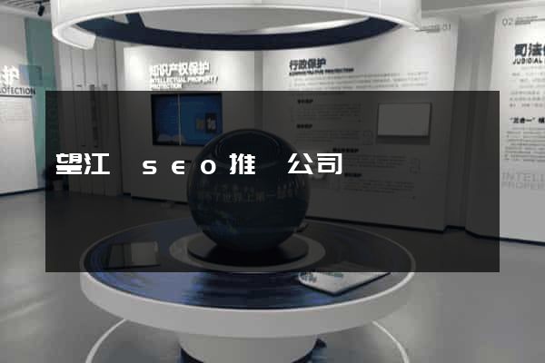 望江縣seo推廣公司