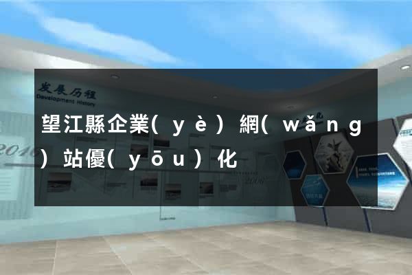 望江縣企業(yè)網(wǎng)站優(yōu)化