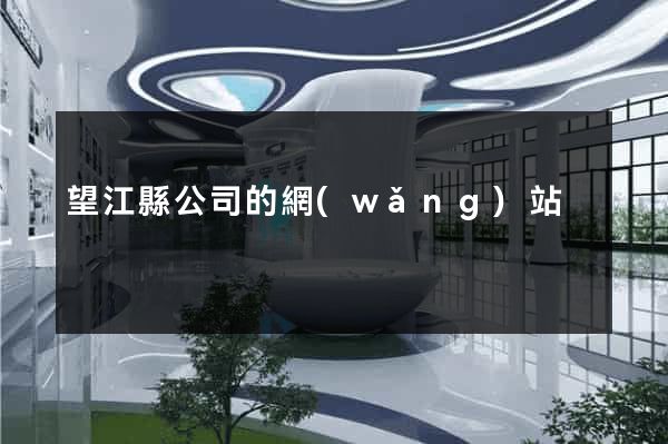 望江縣公司的網(wǎng)站