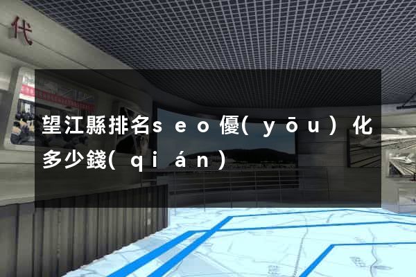 望江縣排名seo優(yōu)化多少錢(qián)